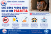 Bệnh viện Nhi Thái Bình khuyến cáo chủ động phòng bệnh do vi rút Hanta