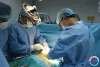 Bệnh viện Nhi Trung ương chuyển giao kỹ thuật phẫu thuật tim mạch trẻ em