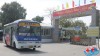 Những chuyến xe buýt đi qua Bệnh viện Nhi Thái Bình